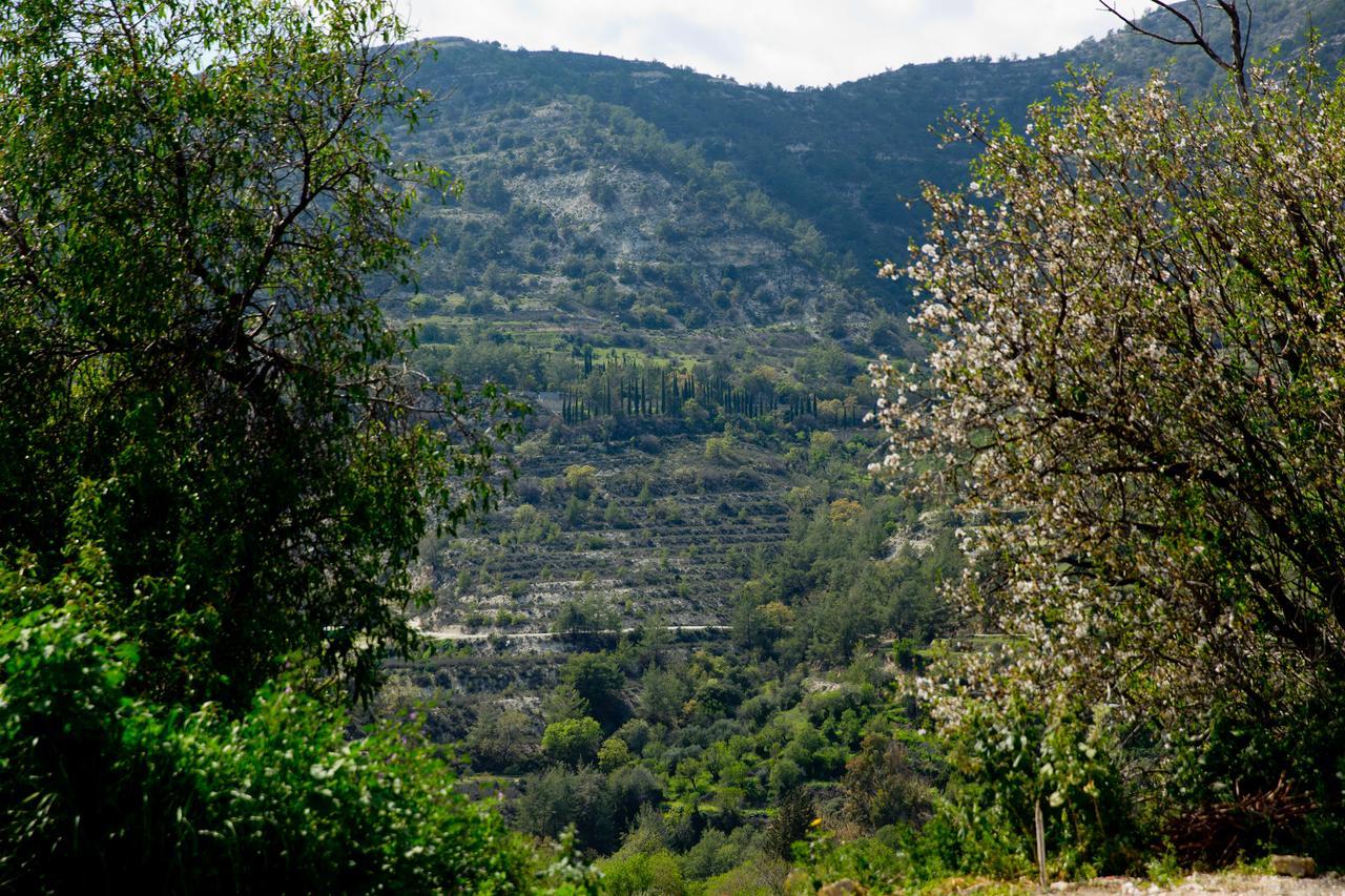 The Old Olive Mill House By Trulycyprus Villa Dorósz Kültér fotó